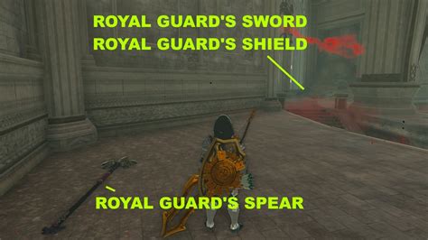 royal guard final test tears of the kingdom|tears of the kingdom royal guards.